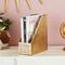 CosmoLiving by Cosmopolitan 12" Gold Iron Glam Magazine Holder